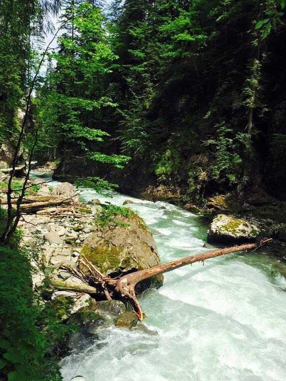 Hotel Garni Regina Oberstdorf Luaran gambar