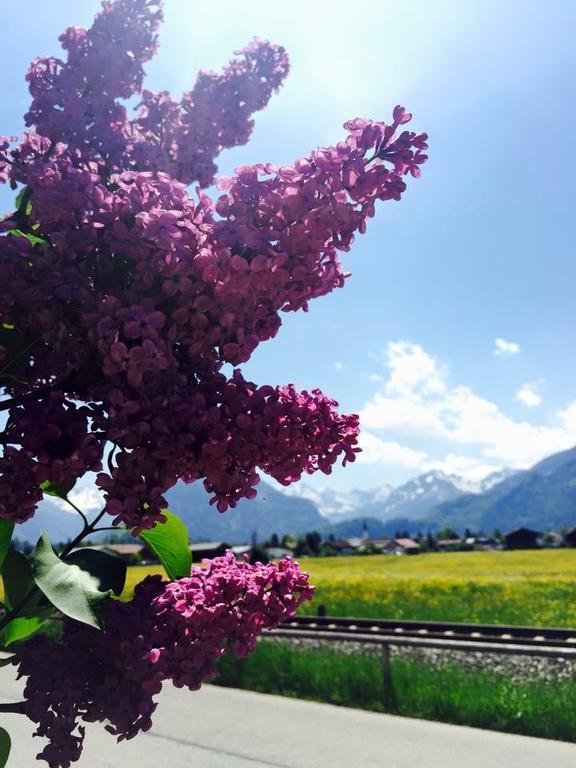 Hotel Garni Regina Oberstdorf Luaran gambar
